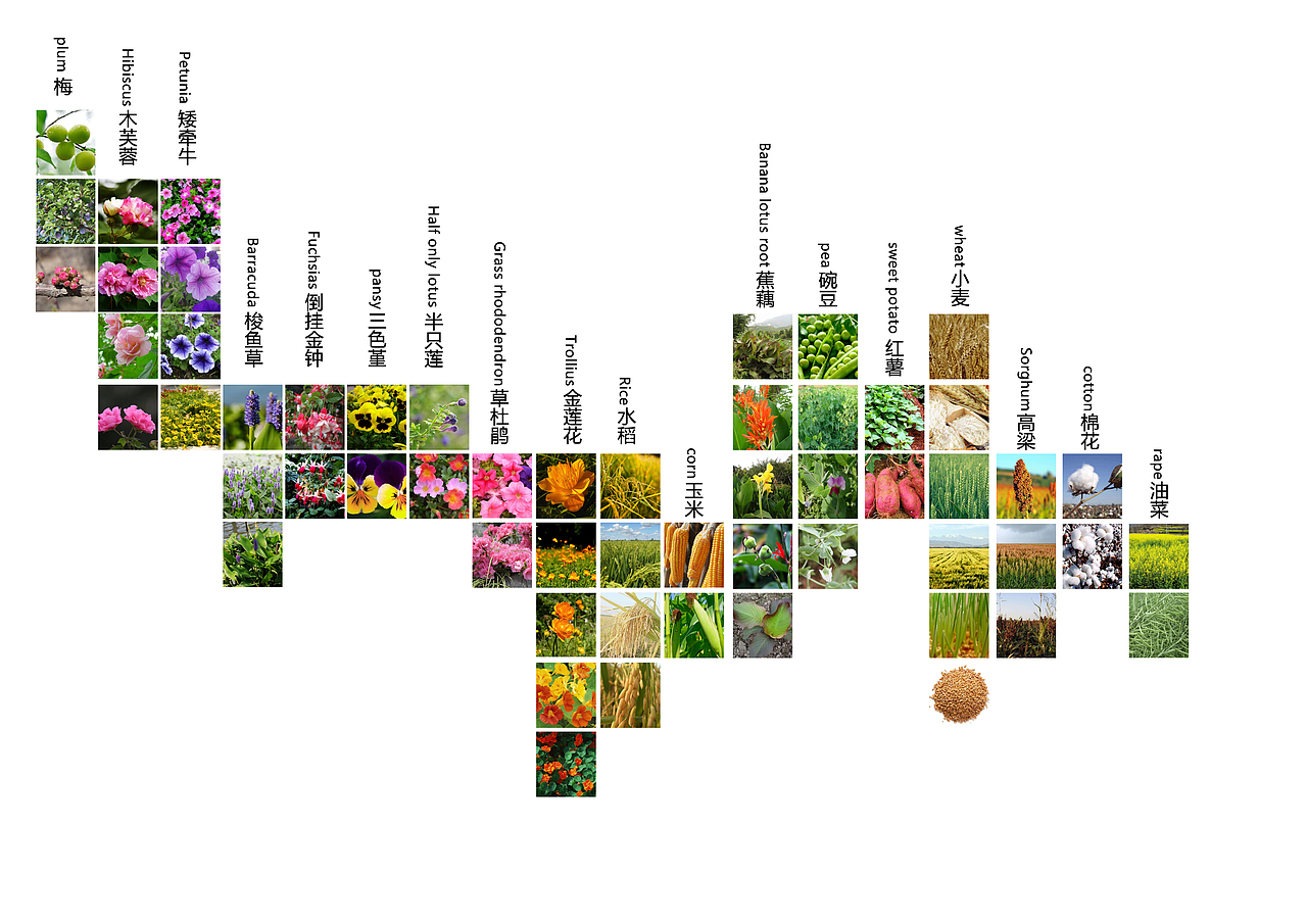 毕业前第一次参加比赛也是最后一次（图ZOTc5NDE0MzI=） - 景观设计 - 站酷设计师从小白开始原创素材 - 站酷ZCOOL