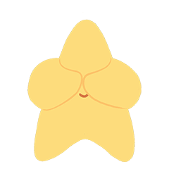 只小星星✨表情包（图ZMjg0ODgzNzg4） - 网络表情 - 站酷设计师邓荣GloryDeng原创素材 - 站酷ZCOOL