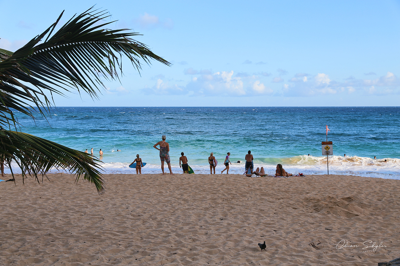 【小风景】夏威夷之海