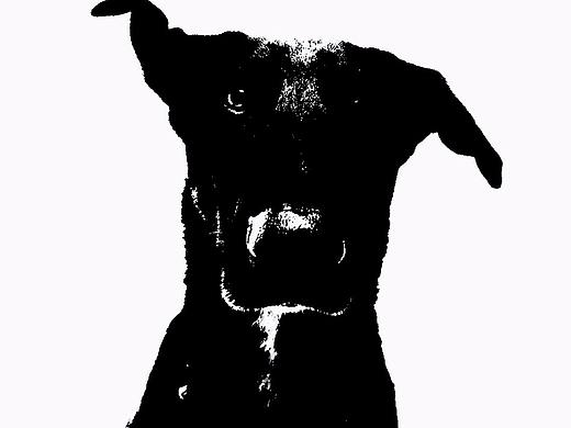 手繪（個(gè)人主頁(yè)-ZMzkwMjY2Njg=） - 創(chuàng)作習(xí)作 - 站酷設(shè)計(jì)師晴空嘍原創(chuàng)素材 - 站酷ZCOOL
