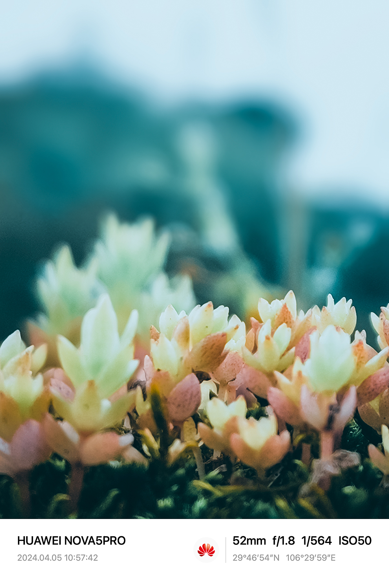 在老山城的街头巷尾,时光仿佛停滞了