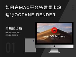 如何在MAC平台搭建显卡坞运行OCTANE RENDER - 系统降级