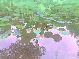  /細膩的美好藏在生活各處