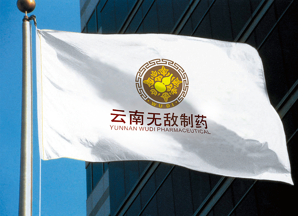 云南无敌制药企业VI、网站、包装、设计，中药包装设计、户外广告、，海报 ，中国风网站（图ZMjM1OTcxNjA=） - 企业官网 - 站酷设计师野蜂创意原创素材 - 站酷ZCOOL