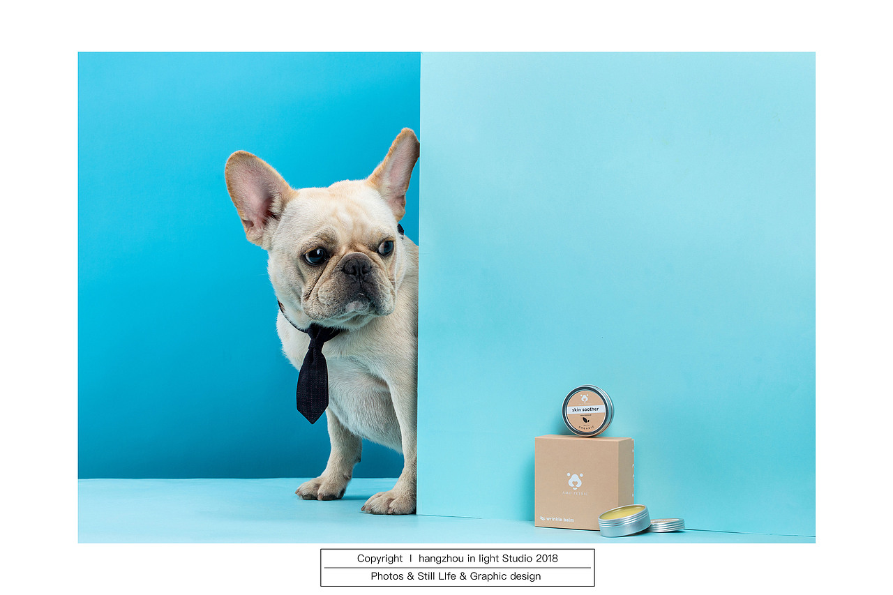 给你的狗狗不一样的爱(宠物护肤品)#IN LIGHT#