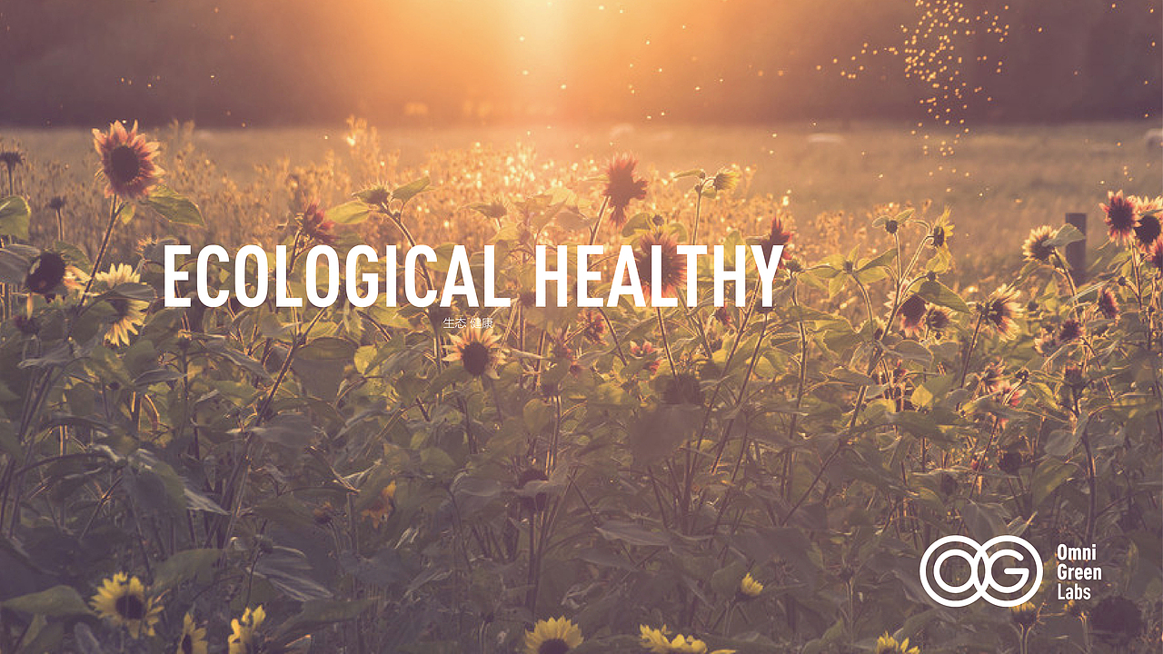 OG BRAND（图ZMzk4MTg5OTI=） - Logo - 站酷设计师阁楼妖怪原创素材 - 站酷ZCOOL