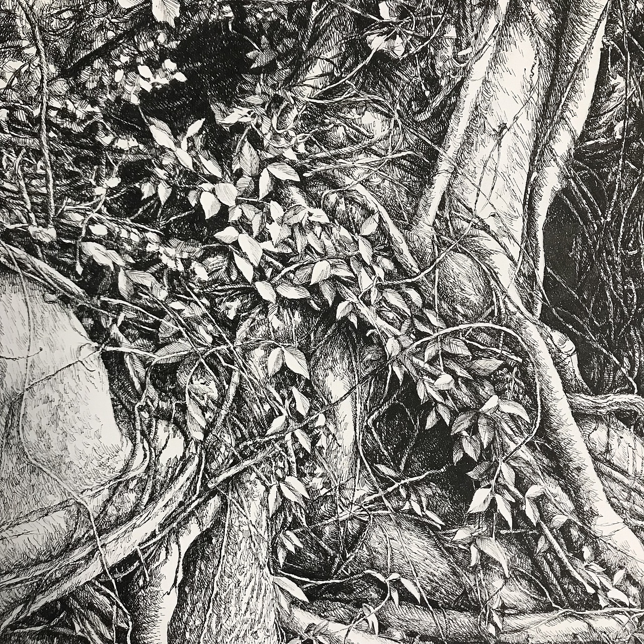 古藤老树（图ZMTM3MTgxODE2） - 绘画 - 站酷设计师ohwa俊桦原创素材 - 站酷ZCOOL