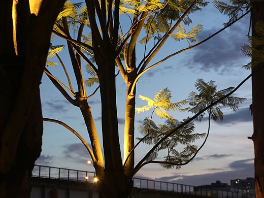 经常路过这里，留下点什么或许会有回忆