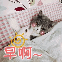 第二套微信表情包上架啦