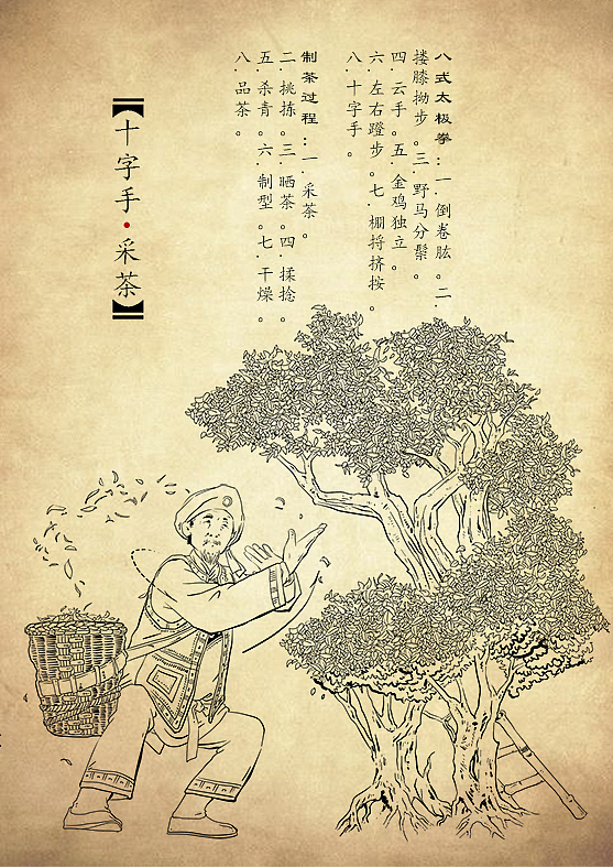 太极制茶老树普洱茶插图