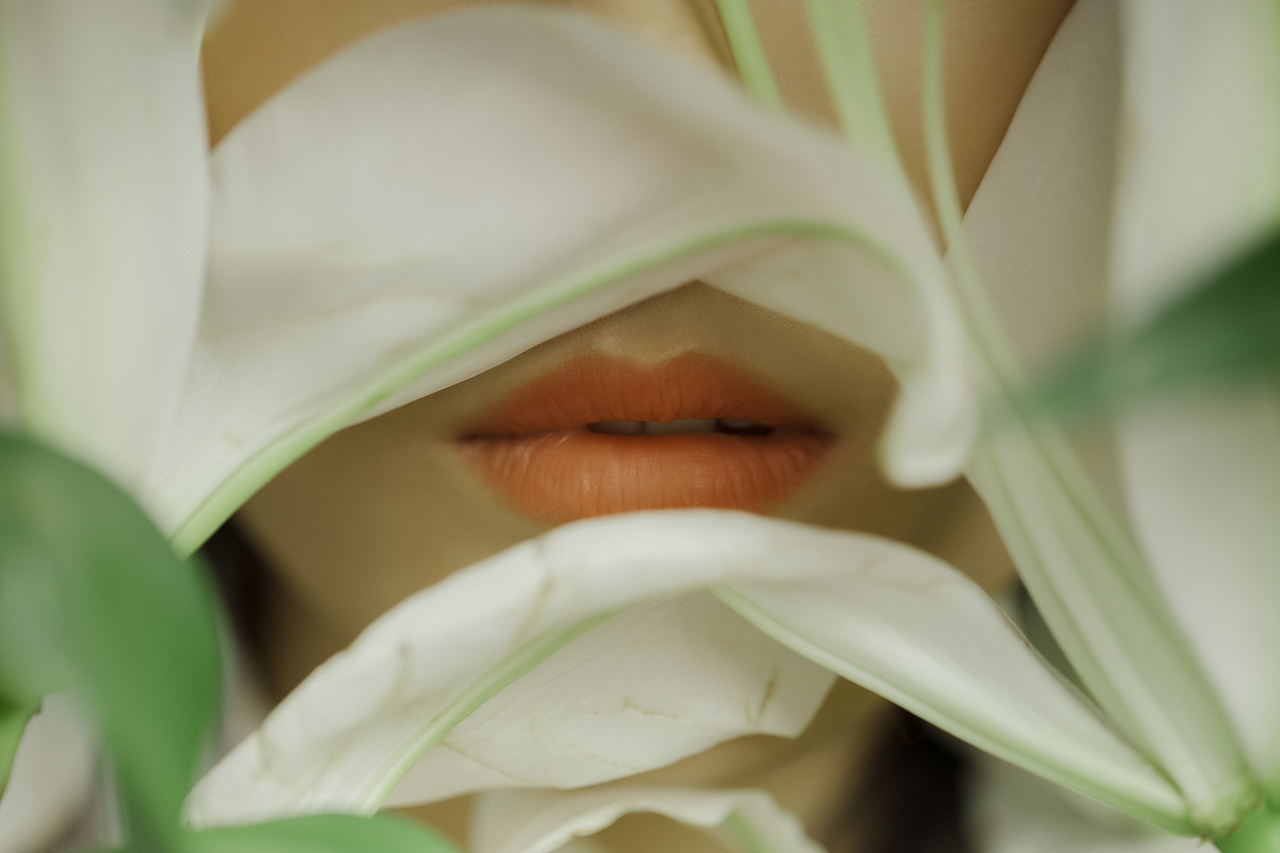 用温柔融化世界