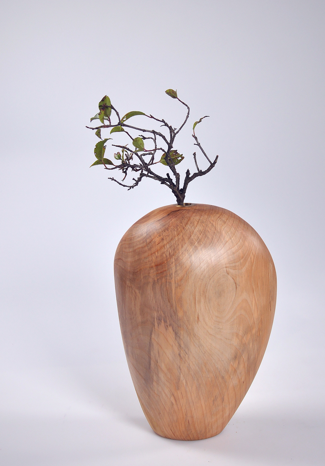 【在外木艺】手作木根花器