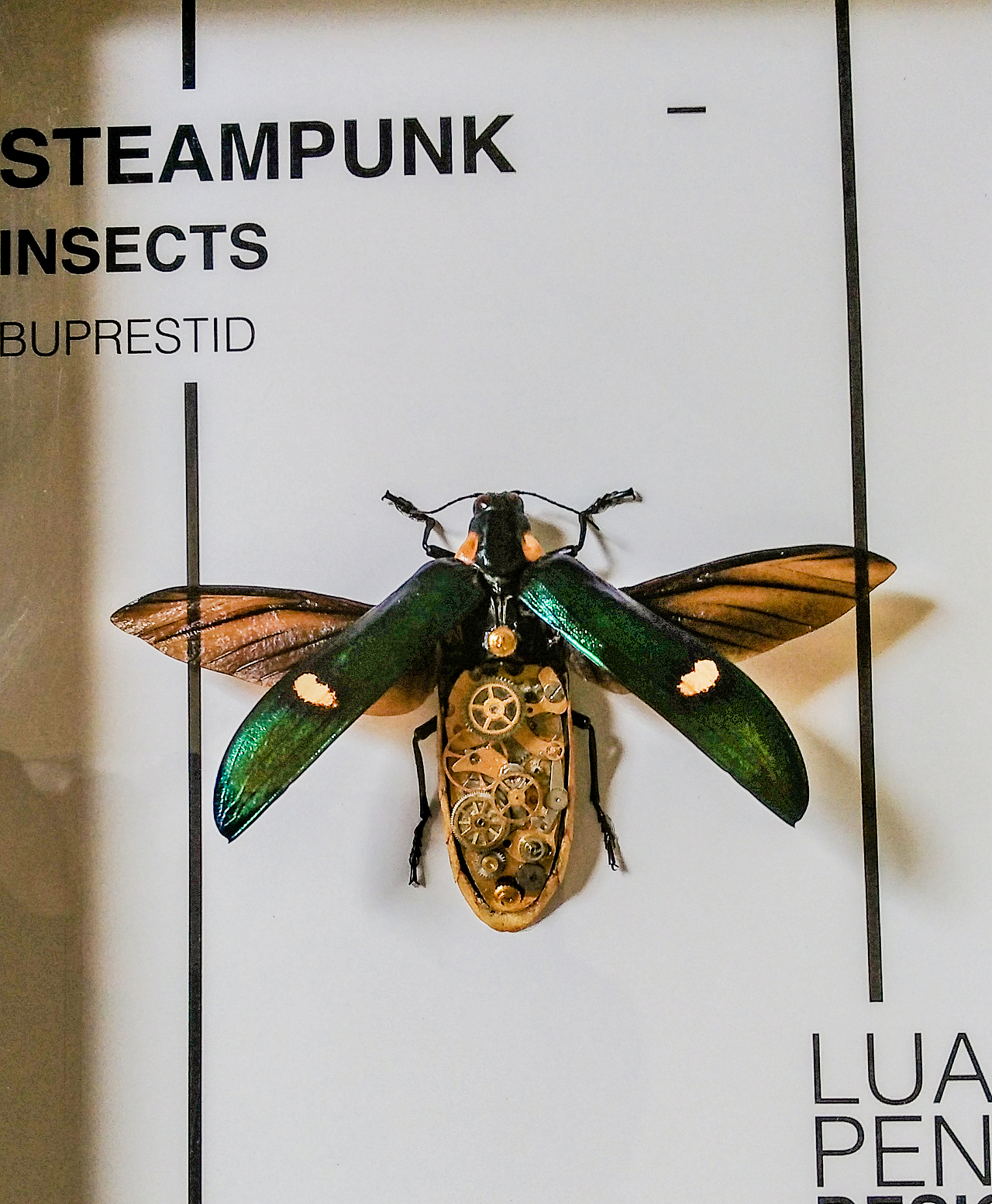 时光生物(Steampunk Art)