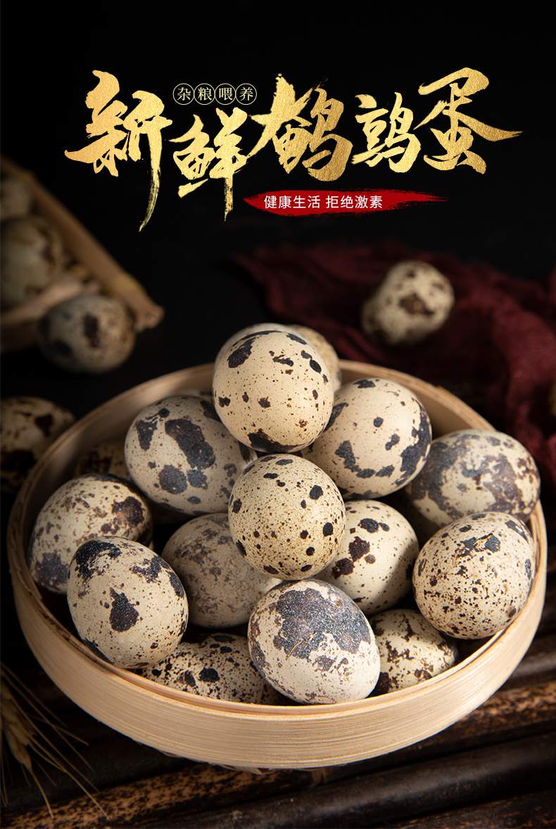 新鲜鹌鹑蛋拍摄