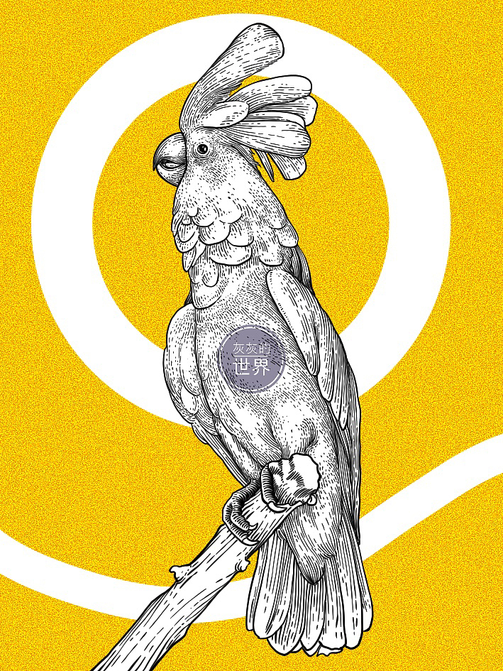 《自然之歌》-百鸟齐鸣节选（更新中）（图ZMzM1MDQ1NzIw） - 艺术插画 - 站酷设计师灰灰的世界原创素材 - 站酷ZCOOL