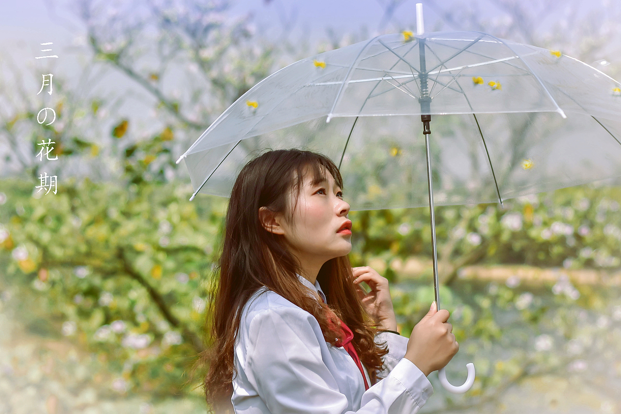 写真集《花期》