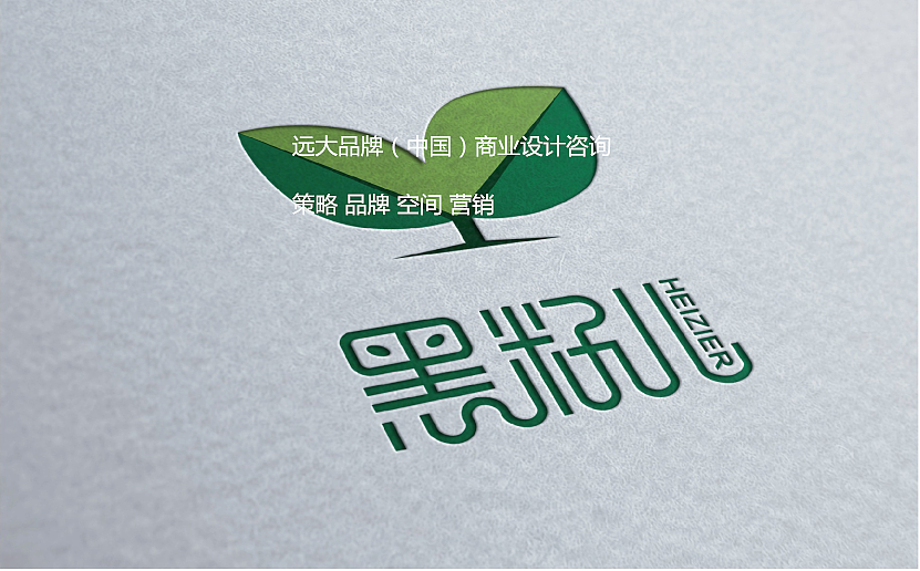 四川黑仔儿教育集团LOGO设计+VIS设计——远大品牌设计