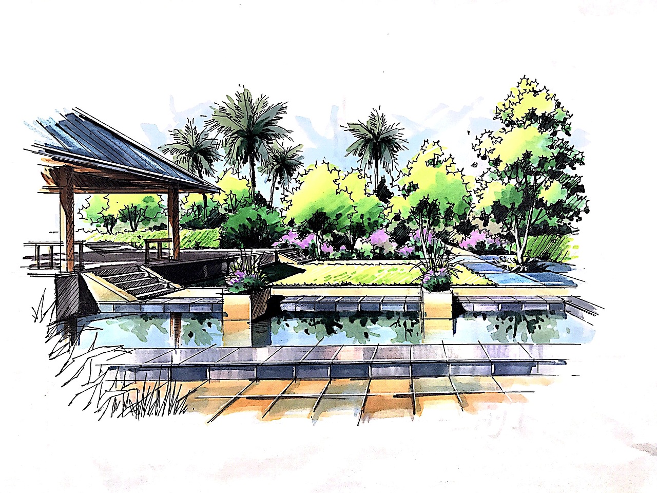 景观手绘线稿➕上色