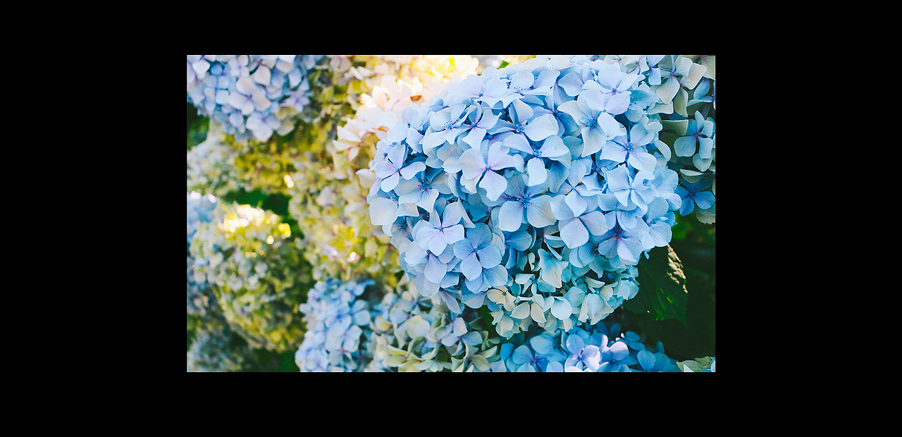 新西兰随拍（图ZMTU0NTM5MzQ4） - 风光摄影 - 站酷设计师圣托里尼熊原创素材 - 站酷ZCOOL