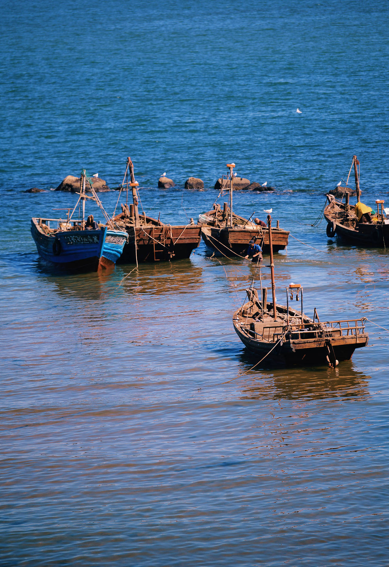北戴河海景（图ZMTg0OTg4ODIw） - 风光摄影 - 站酷设计师旅行摄影杨小蟹原创素材 - 站酷ZCOOL