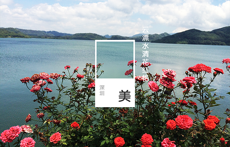 回忆·朝阳·风雪·花杨，品味休逸无穷（图ZODk4OTc5MzI=） - 其他摄影 - 站酷设计师afu1988原创素材 - 站酷ZCOOL