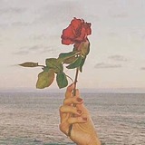 婷婷婷婷啊的头像