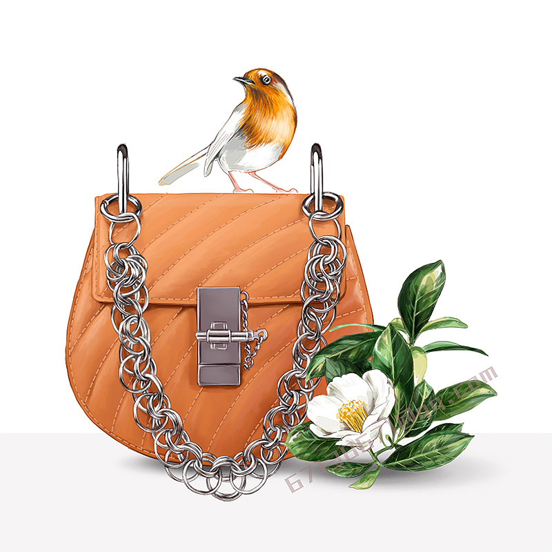 喜欢的包包chloeguccidiorchanel插画不断补充