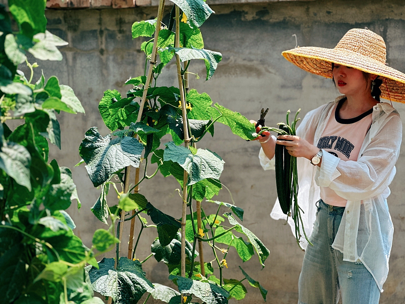 京郊的小院（图ZMzQ0MzcwODg4） - 人像摄影 - 站酷设计师Ms摄影艺术原创素材 - 站酷ZCOOL