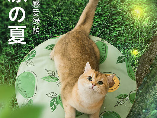 电商宠物行业猫咪冰垫