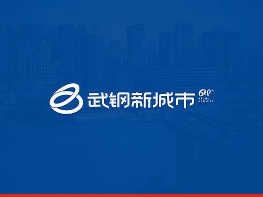 武钢新城市项目提案