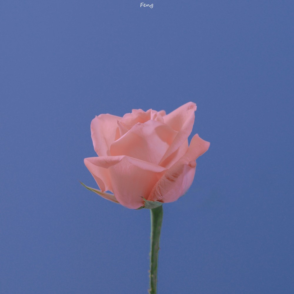 BULEe玖月的个人主页（封面预览） - 主页封面设置 - 站酷设计师BULEe玖月原创素材 - 站酷ZCOOL