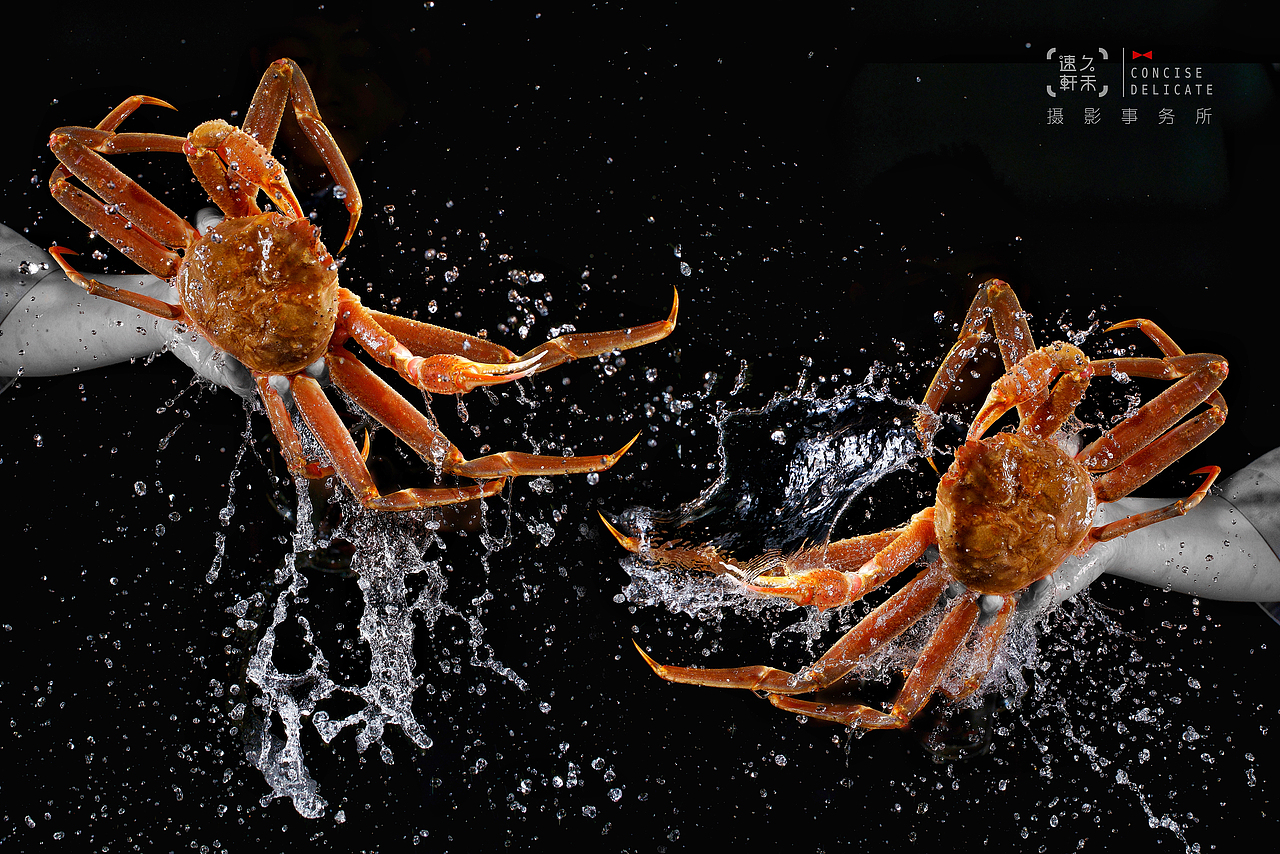 北海道蟹蟹｜速久轩禾摄影事务所