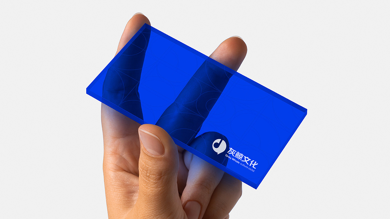 灰鲸GRAY WHALE 品牌设计（图ZMzM0NzQ2MDY4） - 品牌 - 站酷设计师LeDis原创素材 - 站酷ZCOOL