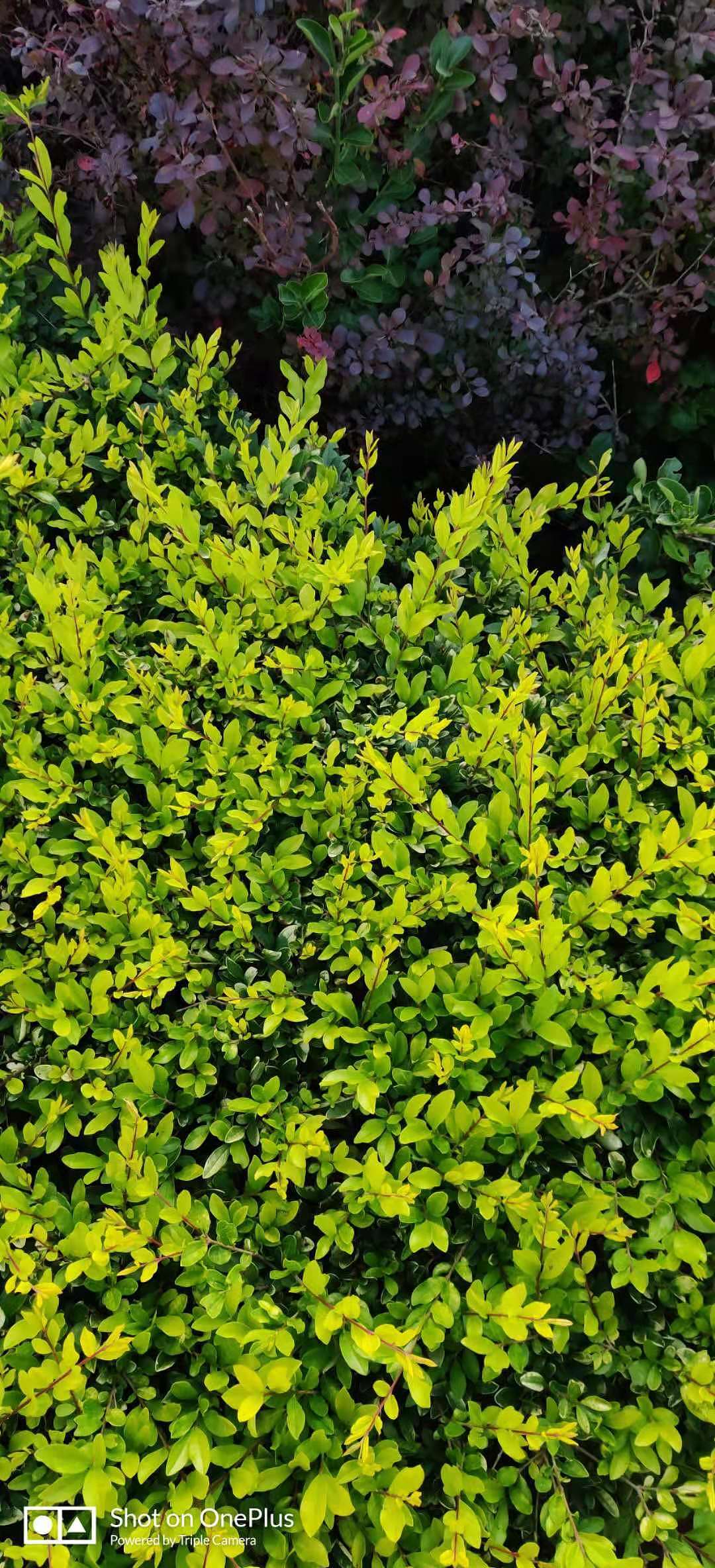 随记（图ZMjU3ODYzMTgw） - 风光摄影 - 站酷设计师乘风破浪的憨憨原创素材 - 站酷ZCOOL