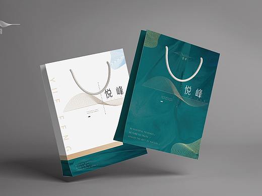 地产物料延展设计