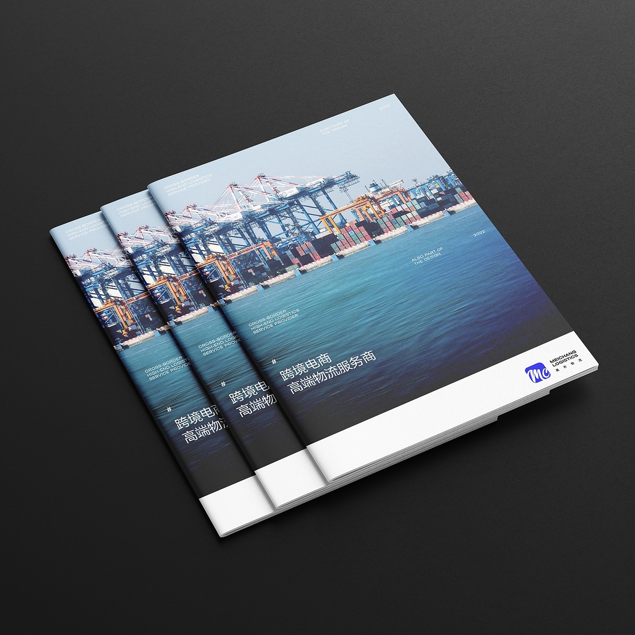 那些年我做的封面（图ZMjk2MjQ1OTAw） - 书籍/画册 - 站酷设计师孙圣朝_nb原创素材 - 站酷ZCOOL