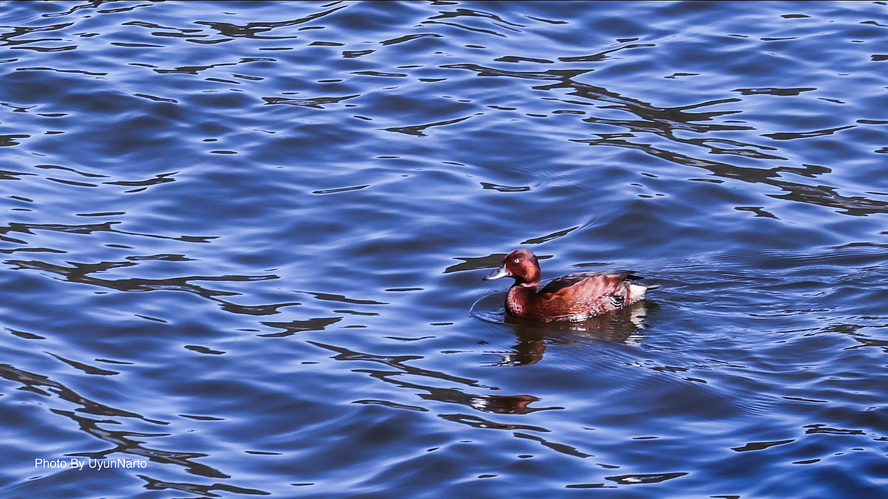 【影像-彩云之南】普达措摄影游记
