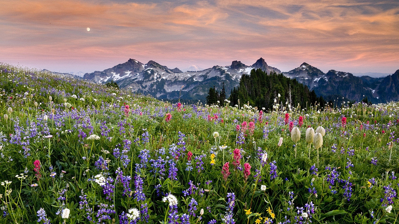 自然风景（图ZMjU1NDA2MDMy） - 风光摄影 - 站酷设计师77吖吖原创素材 - 站酷ZCOOL