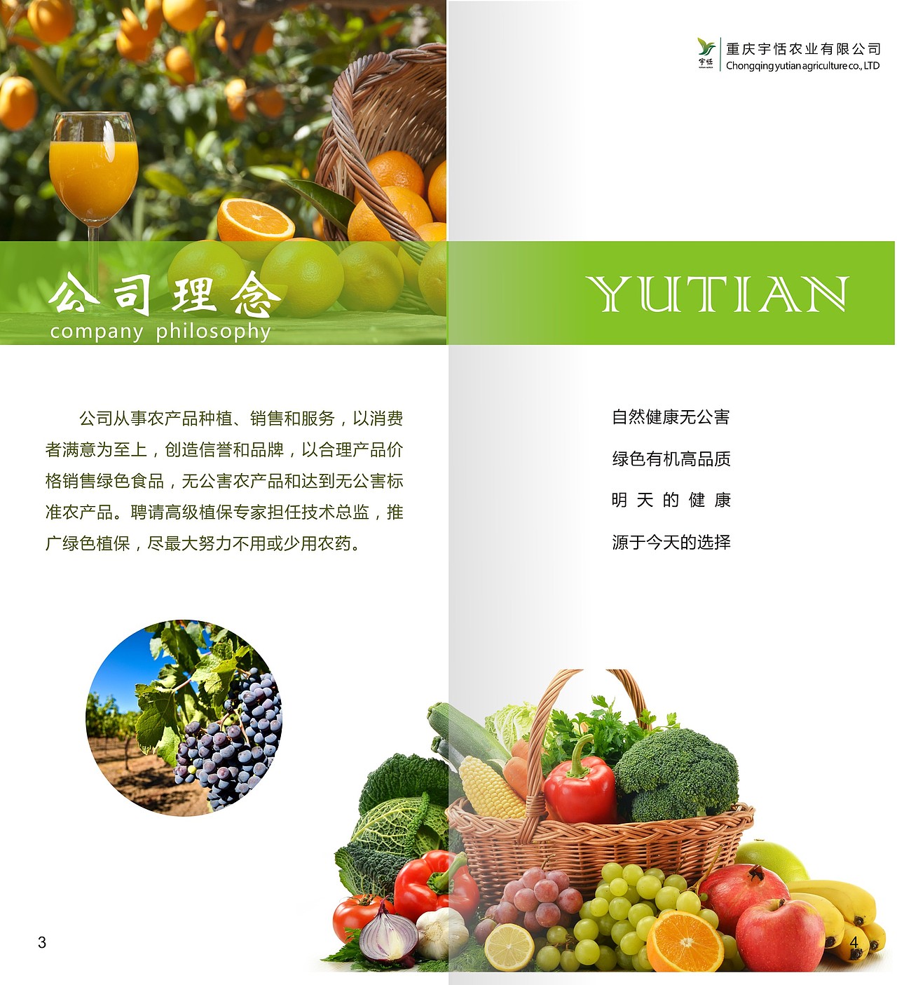 折页 画册 海报