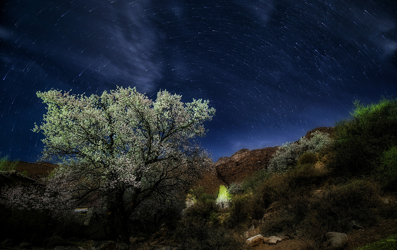 拉萨春花的夜间模式
