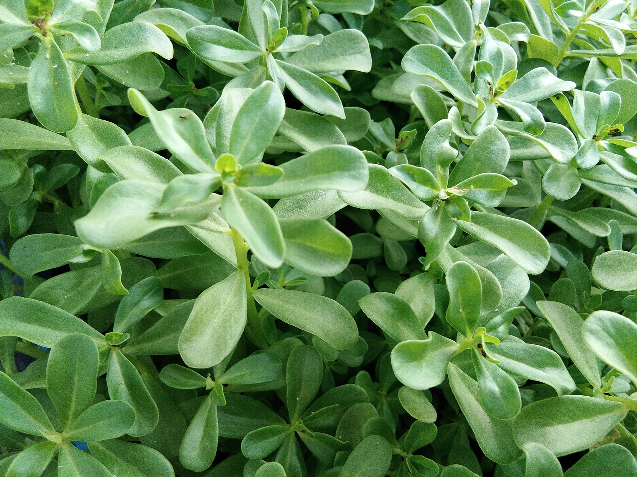 2019国庆假期（图ZMjE2MTM3MTAw） - 风光摄影 - 站酷设计师嘉信文化传播原创素材 - 站酷ZCOOL