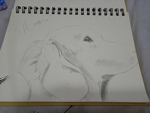 临摹（个人主页-ZMjkxMzUxMjA=） - 艺术插画 - 站酷设计师SH华少原创素材 - 站酷ZCOOL