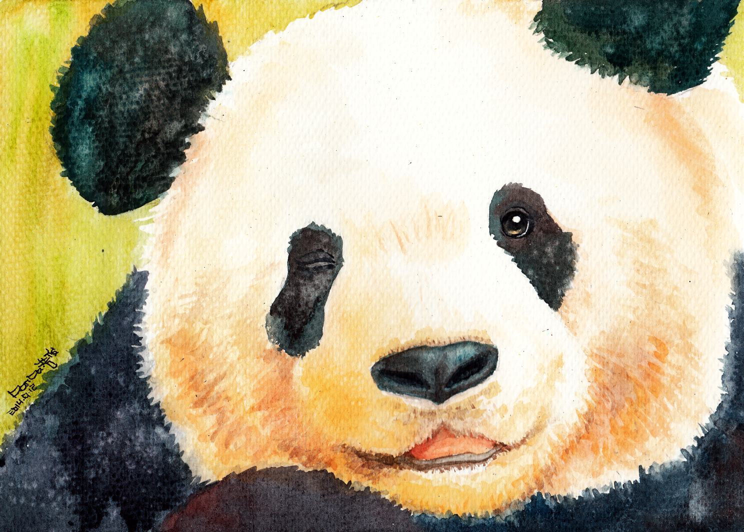 国画熊猫图片素材-编号22589917-图行天下