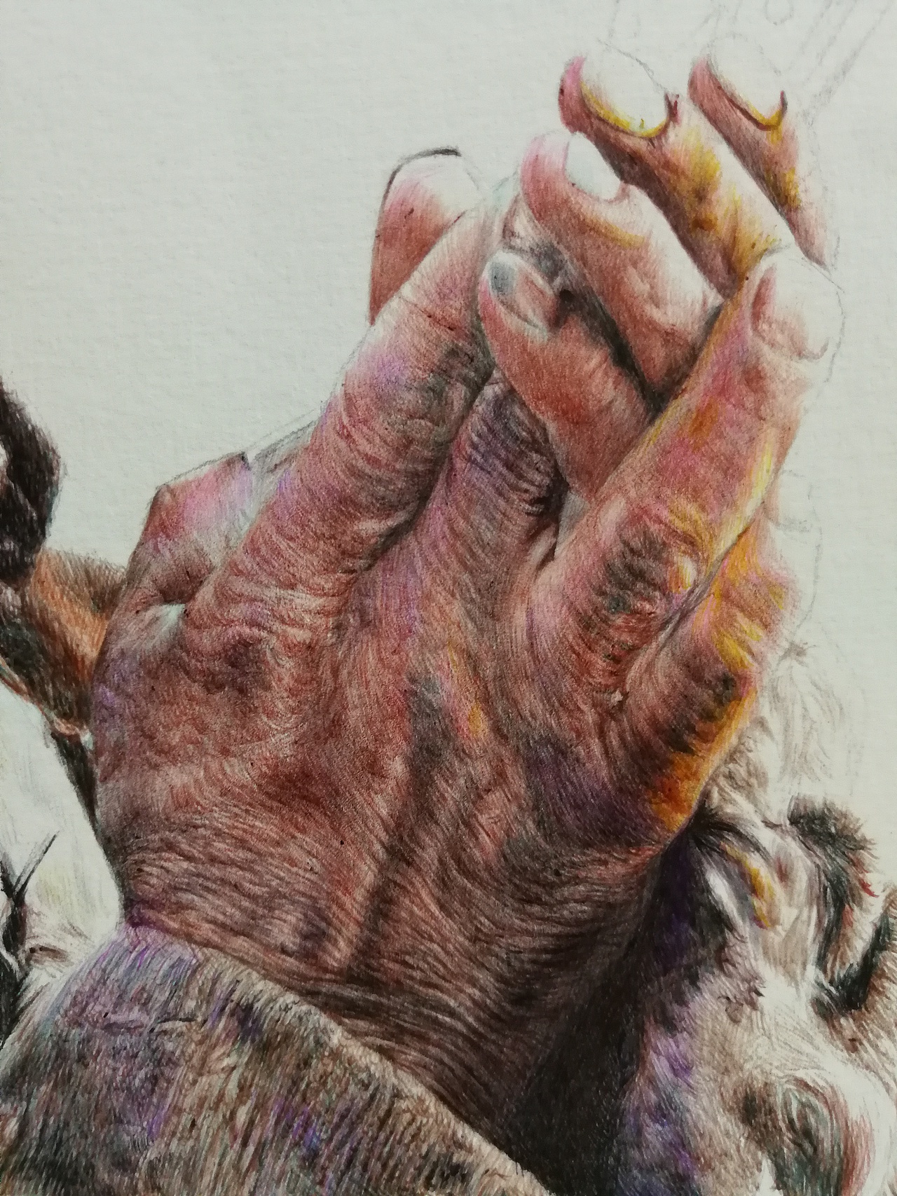 彩色圓珠筆作品《祈?！罚▓DZMTYxODA3NTc2） - 繪畫 - 站酷設(shè)計(jì)師浩軒手繪原創(chuàng)素材 - 站酷ZCOOL