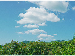 寧波風(fēng)景打卡