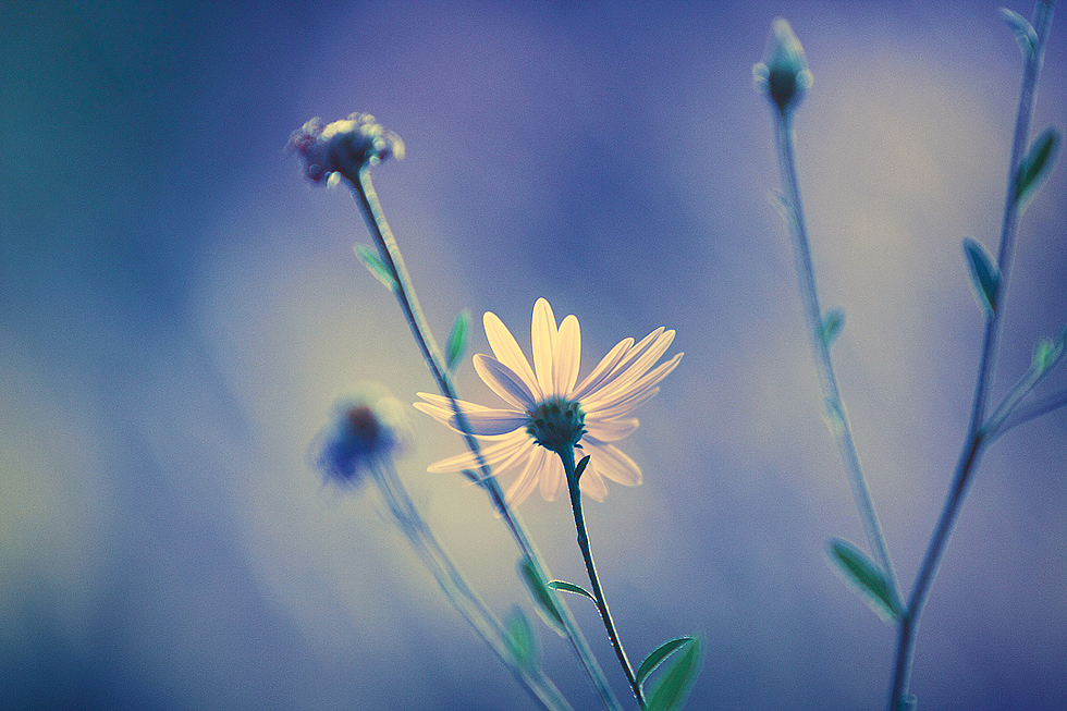 为自己的摄影（六）