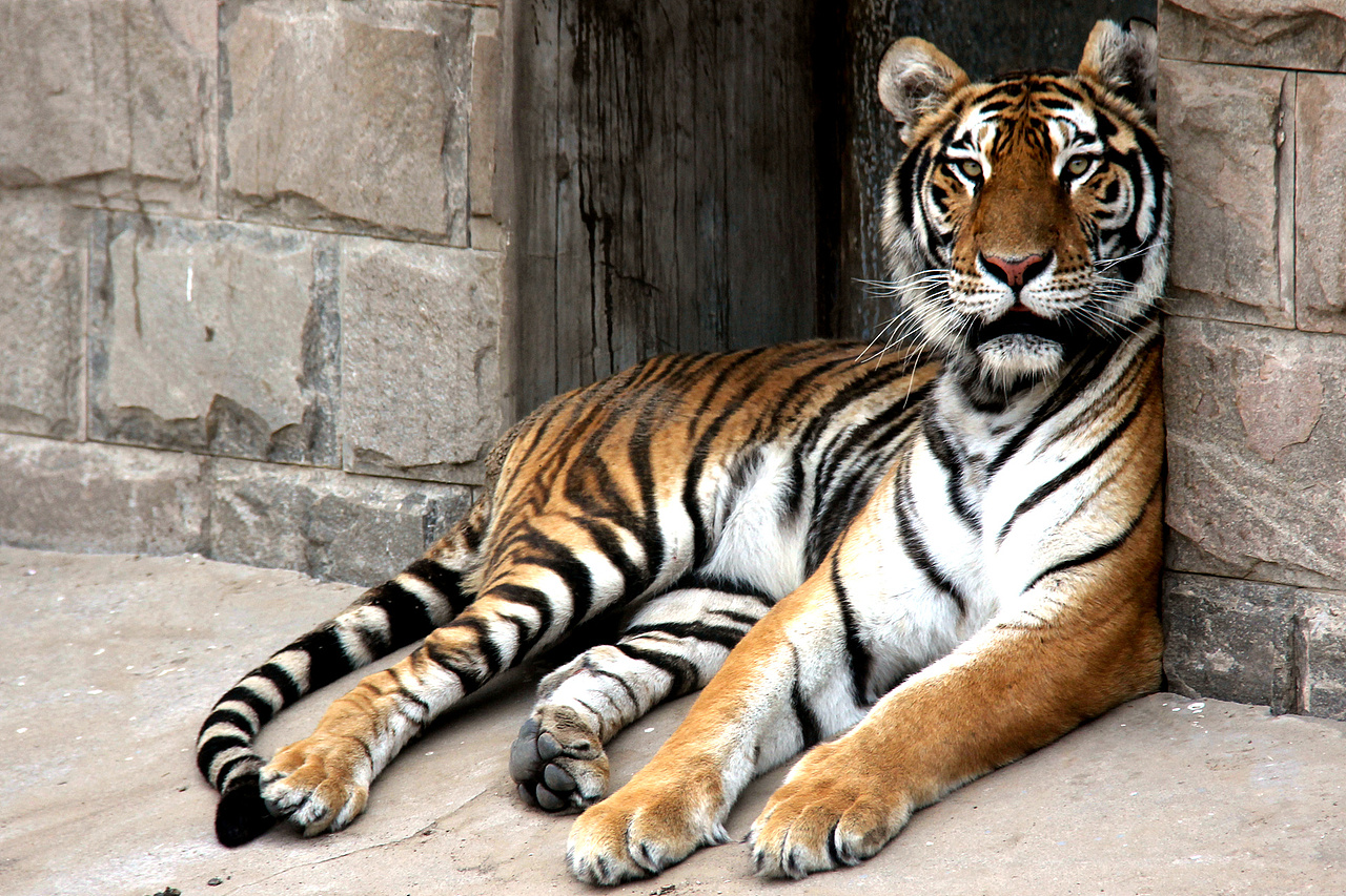 北京野生动物园