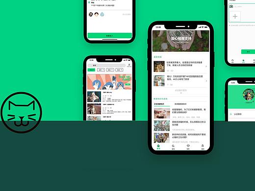 流浪猫社会公益救助服务app设计