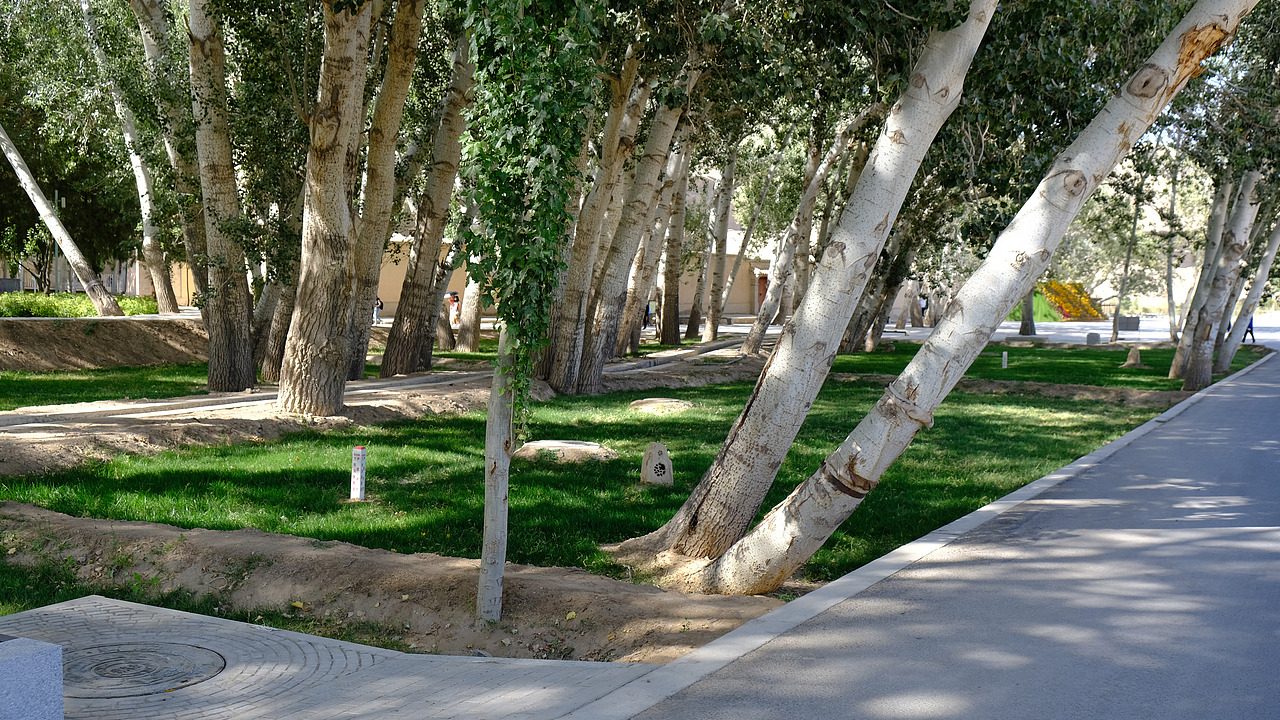 敦煌之旅（图ZMjM0NjM4MDY0） - 风光摄影 - 站酷设计师鬼马少年叫渣渣原创素材 - 站酷ZCOOL