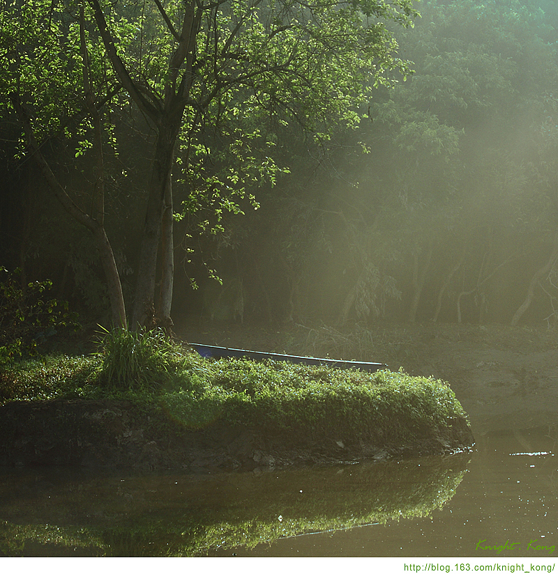 东湖公园的一个早晨,这个地方不错,想去树底下发一下呆~!